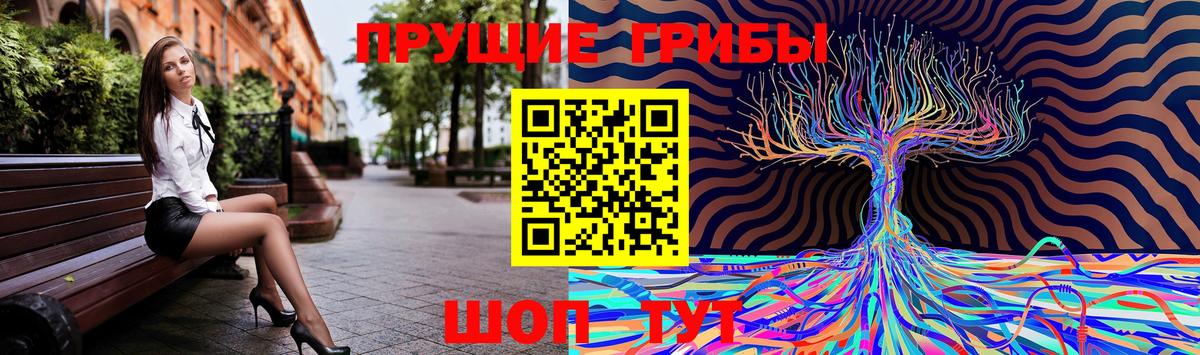 Усть-Лабинск  Галлюциногенные грибы GOLDEN TEACHER  Псилоцибиновые грибы Cubensis  Вход с VPN 